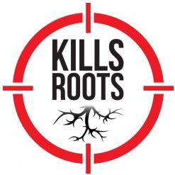 Best reviews of ???? Doff Path & Patio Weedkiller Weed Killer 1 Litre Spray FFPA00DOF03 ???? -Everbuild shop unnamed file 2487