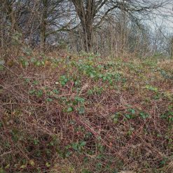 New ???? Doff Tree Stump And Tough Weed Killer 2 Sachets F-FG-002-DOF ???? 4 New ???? Doff Tree Stump And Tough Weed Killer 2 Sachets F-FG-002-DOF ???? -Everbuild shop unnamed file 2515