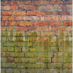 Promo ???? Everbuild 404 Fungicidal Wash Moss Mould Remover 1 Litre Spray FUN1 ???? -Everbuild shop unnamed file 2576