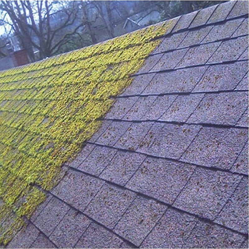 Everbuild Patio Wizard Moss Mould Green Algae Killer 1 Litre PATWIZ1 Coupon ???? Everbuild Patio Wizard Moss Mould Green Algae Killer 1 Litre PATWIZ1 ❤️ -Everbuild shop unnamed file 2588