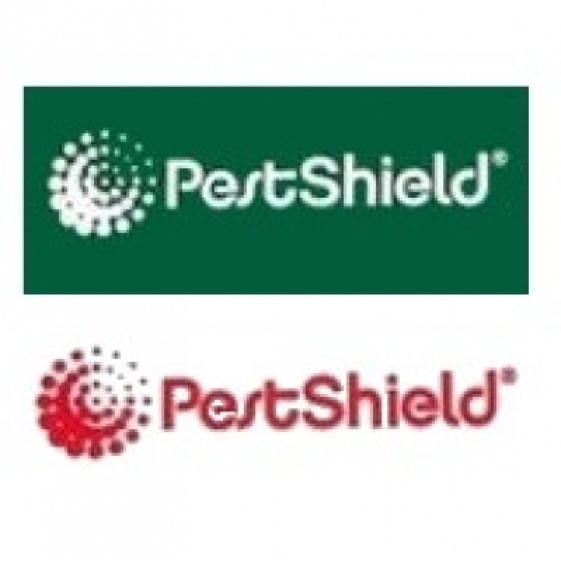 PestShield Path & Patio Weed Killer Spray 500ml PS0042 New ???? PestShield Path & Patio Weed Killer Spray 500ml PS0042 ???? -Everbuild shop unnamed file 2602