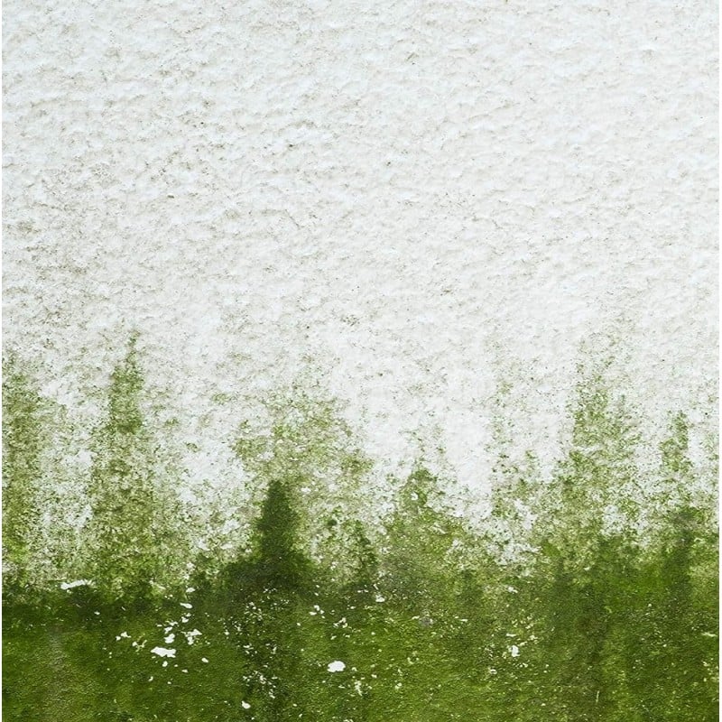 Sika Mould Buster Concentrate Kills Moss Algae Mould 5 Litre SKMBUST5 Best reviews of ???? Sika Mould Buster Concentrate Kills Moss Algae Mould 5 Litre SKMBUST5 ✔️ -Everbuild shop unnamed file 2608