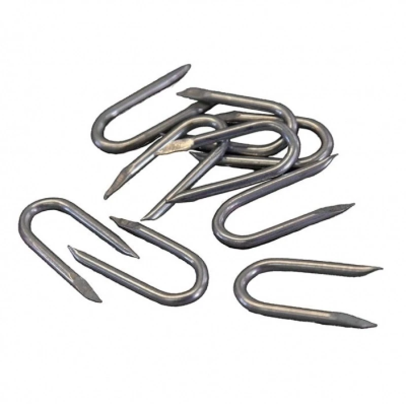 Buy ⌛ ForgeFix Galvanised Netting Staples Wire U Shape 25mm 1kg ✨ 1 Buy ⌛ ForgeFix Galvanised Netting Staples Wire U Shape 25mm 1kg ✨