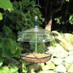 Discount ❤️ Nature's Market Natures Market Canopy Mealworm Or Suet Bird Food Feeder BF026 🔔 15 Discount ❤️ Nature's Market Natures Market Canopy Mealworm Or Suet Bird Food Feeder BF026 🔔 -Everbuild shop unnamed file 365
