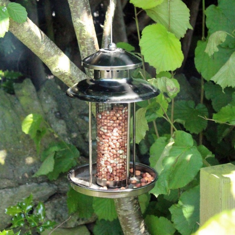 Natures Market Deluxe Steel Lantern Wild Bird Nut Peanut Feeder BF037 Flash Sale ???? Nature's Market Natures Market Deluxe Steel Lantern Wild Bird Nut Peanut Feeder BF037 ???? -Everbuild shop unnamed file 384