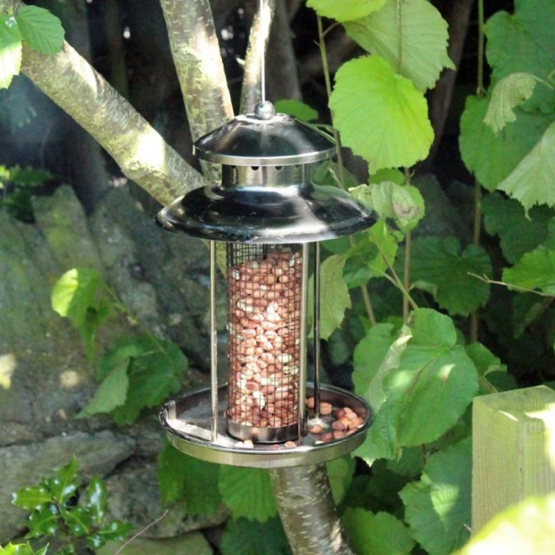 Flash Sale 🛒 Nature's Market Natures Market Deluxe Steel Lantern Wild Bird Nut Peanut Feeder BF037 🎁 5 Flash Sale 🛒 Nature's Market Natures Market Deluxe Steel Lantern Wild Bird Nut Peanut Feeder BF037 🎁 - Image 5