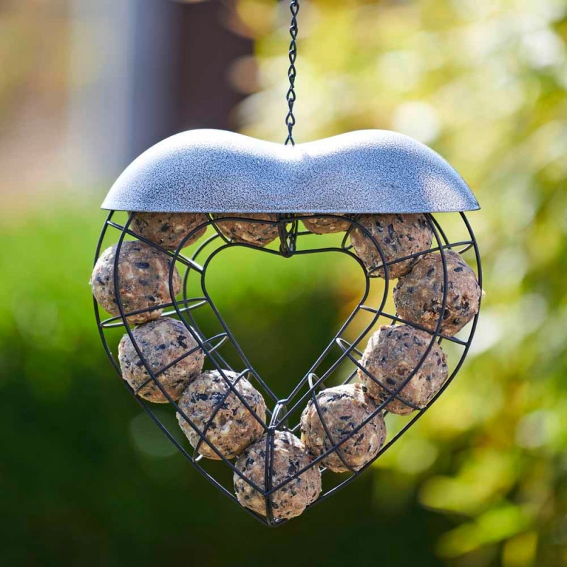 Natures Market Heart Fat Ball Suet Ball Bird Feeder BFLOVE2 Top 10 ✔️ Nature's Market Natures Market Heart Fat Ball Suet Ball Bird Feeder BFLOVE2 ???? -Everbuild shop unnamed file 404