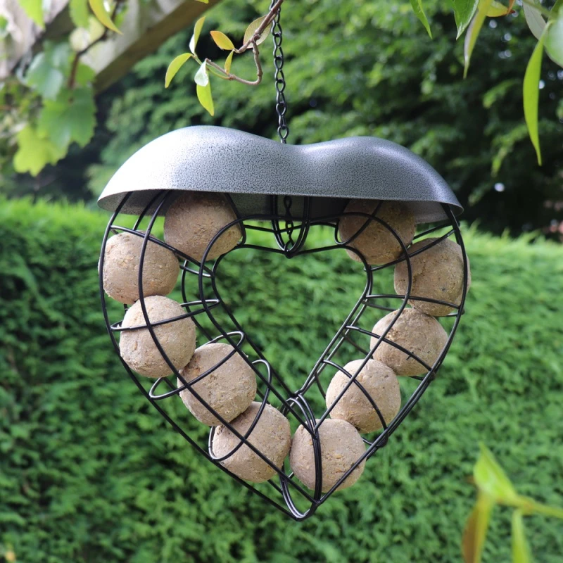 Top 10 ✔️ Nature's Market Natures Market Heart Fat Ball Suet Ball Bird Feeder BFLOVE2 🤩 3 Top 10 ✔️ Nature's Market Natures Market Heart Fat Ball Suet Ball Bird Feeder BFLOVE2 🤩 - Image 3