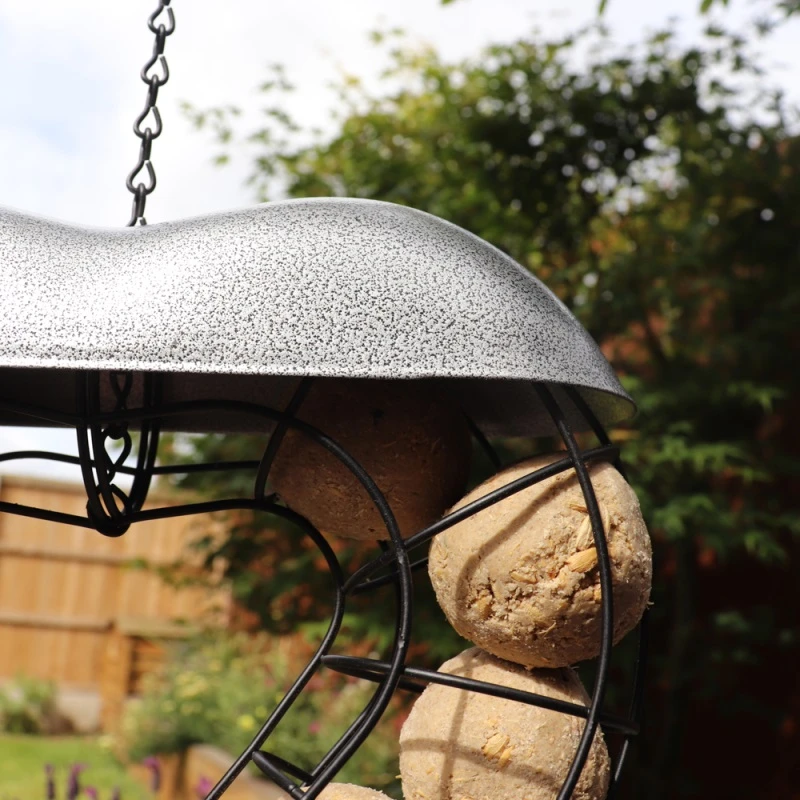 Top 10 ✔️ Nature's Market Natures Market Heart Fat Ball Suet Ball Bird Feeder BFLOVE2 🤩 4 Top 10 ✔️ Nature's Market Natures Market Heart Fat Ball Suet Ball Bird Feeder BFLOVE2 🤩 - Image 4