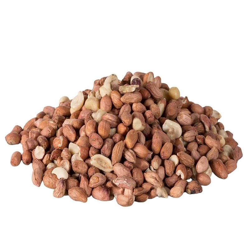 Flash Sale 🌟 Nature's Market Natures Market Squirrel Guard Nut Peanut Bird Food Feeder Green BF008N 👏 2 Flash Sale 🌟 Nature's Market Natures Market Squirrel Guard Nut Peanut Bird Food Feeder Green BF008N 👏 - Image 2