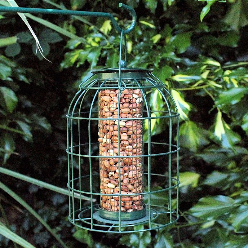 Flash Sale 🌟 Nature's Market Natures Market Squirrel Guard Nut Peanut Bird Food Feeder Green BF008N 👏 8 Flash Sale 🌟 Nature's Market Natures Market Squirrel Guard Nut Peanut Bird Food Feeder Green BF008N 👏 - Image 8