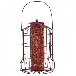 Hot Sale ⌛ Nature's Market Natures Market Squirrel Guard Nut Peanut Bird Food Feeder Red BF007 ???? -Everbuild shop unnamed file 429