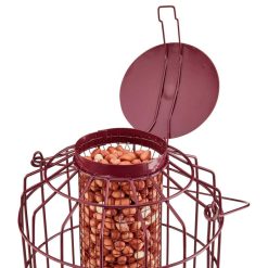 Hot Sale ⌛ Nature's Market Natures Market Squirrel Guard Nut Peanut Bird Food Feeder Red BF007 ???? -Everbuild shop unnamed file 431