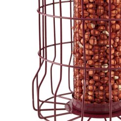 Hot Sale ⌛ Nature's Market Natures Market Squirrel Guard Nut Peanut Bird Food Feeder Red BF007 ???? -Everbuild shop unnamed file 432