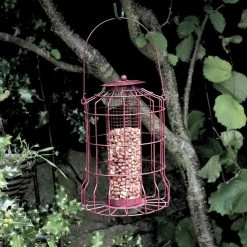 Hot Sale ⌛ Nature's Market Natures Market Squirrel Guard Nut Peanut Bird Food Feeder Red BF007 🔔 -Everbuild shop unnamed file 433