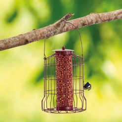 Hot Sale ⌛ Nature's Market Natures Market Squirrel Guard Nut Peanut Bird Food Feeder Red BF007 ???? -Everbuild shop unnamed file 434