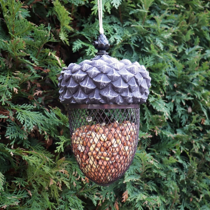 Wholesale ๐ Nature's Market Natures Market Wild Bird ACORN Food Nut & Large Seed Feeder BFACORN ๐ 2 Wholesale ๐ Nature's Market Natures Market Wild Bird ACORN Food Nut & Large Seed Feeder BFACORN ๐ - Image 2
