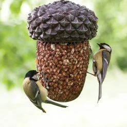 Wholesale ๐ Nature's Market Natures Market Wild Bird ACORN Food Nut & Large Seed Feeder BFACORN ๐ 9 Wholesale ๐ Nature's Market Natures Market Wild Bird ACORN Food Nut & Large Seed Feeder BFACORN ๐ -Everbuild shop unnamed file 445
