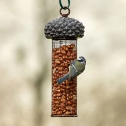 Top 10 🎁 Nature's Market Natures Market Wild Bird Acorn Food Nut Feeder BFACORNN 🎁 -Everbuild shop unnamed file 451