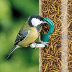 Top 10 ???? Nature's Market Natures Market Wild Bird Food Dried Mealworms 100g Tub BFMW01 ???? -Everbuild shop unnamed file 459