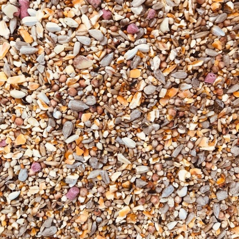 Natures Market Wild Bird Food High Energy Seed Blended Mix 900g BFWF01 Flash Sale ???? Nature's Market Natures Market Wild Bird Food High Energy Seed Blended Mix 900g BFWF01 ???? -Everbuild shop unnamed file 467