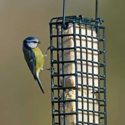 Cheapest ???? Nature's Market Natures Market Wild Bird Food Mealworm Suet Cake 300g BFSC02 ???? 4 Cheapest ???? Nature's Market Natures Market Wild Bird Food Mealworm Suet Cake 300g BFSC02 ???? -Everbuild shop unnamed file 472