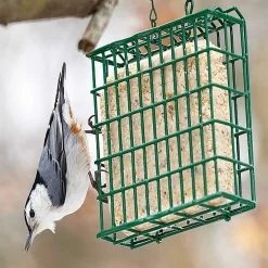 Best reviews of ๐ Nature's Market Natures Market Wild Bird Food Nut Peanut Suet Cake 300g BFSC01 โจ 9 Best reviews of ๐ Nature's Market Natures Market Wild Bird Food Nut Peanut Suet Cake 300g BFSC01 โจ -Everbuild shop unnamed file 476