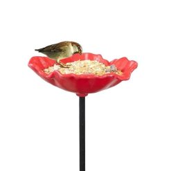 New ???? Nature's Market Natures Market Wild Bird Food Poppy Feeders 8pc Set BFPOPPY8 ???? 3 New ???? Nature's Market Natures Market Wild Bird Food Poppy Feeders 8pc Set BFPOPPY8 ???? -Everbuild shop unnamed file 480