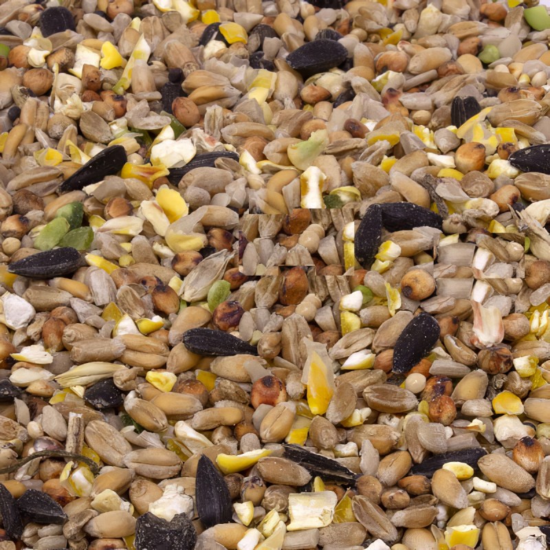 Natures Market Wild Bird Food Seed Mix 12.75kg BF127S New ???? Nature's Market Natures Market Wild Bird Food Seed Mix 12.75kg BF127S ???? -Everbuild shop unnamed file 492