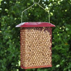 Budget ❤️ Nature's Market Natures Market Wild Bird Food Suet Pellets 1kg Bag - BF1SP ❤️ 2 Budget ❤️ Nature's Market Natures Market Wild Bird Food Suet Pellets 1kg Bag - BF1SP ❤️ -Everbuild shop unnamed file 510