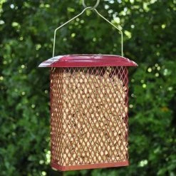 Budget ❤️ Nature's Market Natures Market Wild Bird Food Suet Pellets 1kg Bag - BF1SP ❤️ 7 Budget ❤️ Nature's Market Natures Market Wild Bird Food Suet Pellets 1kg Bag - BF1SP ❤️ -Everbuild shop unnamed file 510