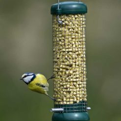 Budget ❤️ Nature's Market Natures Market Wild Bird Food Suet Pellets 1kg Bag - BF1SP ❤️ 3 Budget ❤️ Nature's Market Natures Market Wild Bird Food Suet Pellets 1kg Bag - BF1SP ❤️ -Everbuild shop unnamed file 511