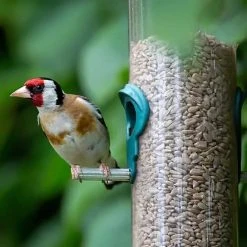 Hot Sale 🥰 Nature's Market Natures Market Wild Bird Food Sunflower Seed Hearts 900g BFWF03 🥰 -Everbuild shop unnamed file 515