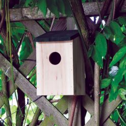 Best Pirce ???? Nature's Market Natures Market Wooden Small Bird Nesting Box BF017 ???? -Everbuild shop unnamed file 522