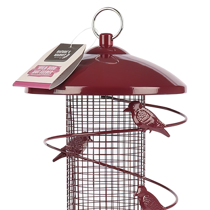 Natures Market Finch Nut Peanut Bird Food Feeder Red BFBN Budget ???? Nature's Market Natures Market Finch Nut Peanut Bird Food Feeder Red BFBN ???? -Everbuild shop unnamed file 53