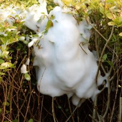 Flash Sale ✔️ Doff Advanced Foaming Wasp Nest Killer Spray 300ml DP1074-01 ❤️ -Everbuild shop unnamed file 623