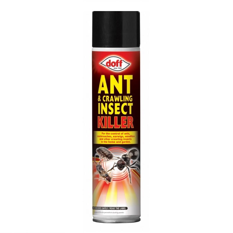 Doff Ant and Crawling Insect Killer Aerosol Spray 300ml DP1033 Promo ❤️ Doff Ant And Crawling Insect Killer Aerosol Spray 300ml DP1033 ???? -Everbuild shop unnamed file 641