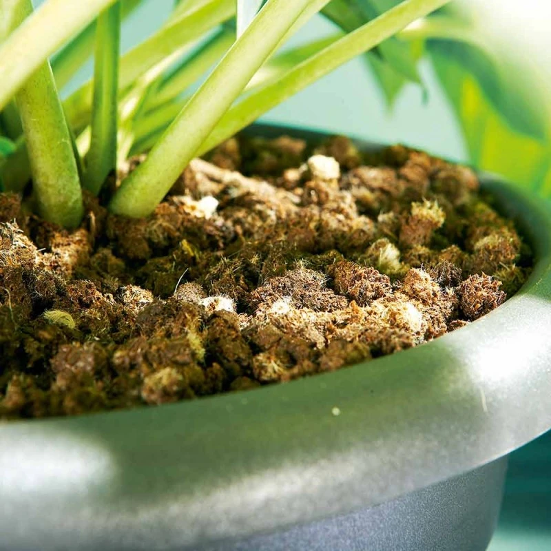 Brand new ๐ Doff Slugs Be Gone 3 In 1 Wool Pellets Pesticide Free Slug Deterrent 1 Litre DP1096 โจ 2 Brand new ๐ Doff Slugs Be Gone 3 In 1 Wool Pellets Pesticide Free Slug Deterrent 1 Litre DP1096 โจ - Image 2