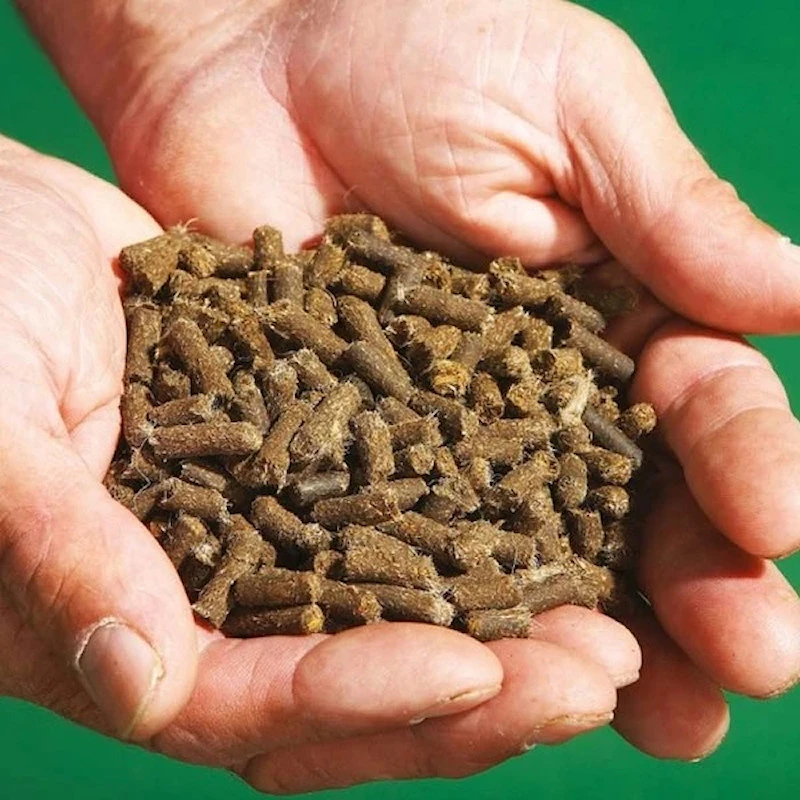 Brand new ๐ Doff Slugs Be Gone 3 In 1 Wool Pellets Pesticide Free Slug Deterrent 1 Litre DP1096 โจ 4 Brand new ๐ Doff Slugs Be Gone 3 In 1 Wool Pellets Pesticide Free Slug Deterrent 1 Litre DP1096 โจ - Image 4