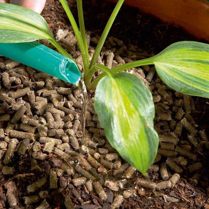 Brand new ๐ Doff Slugs Be Gone 3 In 1 Wool Pellets Pesticide Free Slug Deterrent 1 Litre DP1096 โจ 5 Brand new ๐ Doff Slugs Be Gone 3 In 1 Wool Pellets Pesticide Free Slug Deterrent 1 Litre DP1096 โจ - Image 5