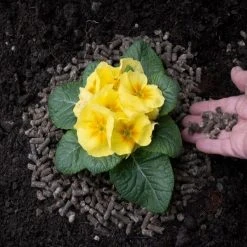 Brand new ๐ Doff Slugs Be Gone 3 In 1 Wool Pellets Pesticide Free Slug Deterrent 1 Litre DP1096 โจ 18 Brand new ๐ Doff Slugs Be Gone 3 In 1 Wool Pellets Pesticide Free Slug Deterrent 1 Litre DP1096 โจ -Everbuild shop unnamed file 710