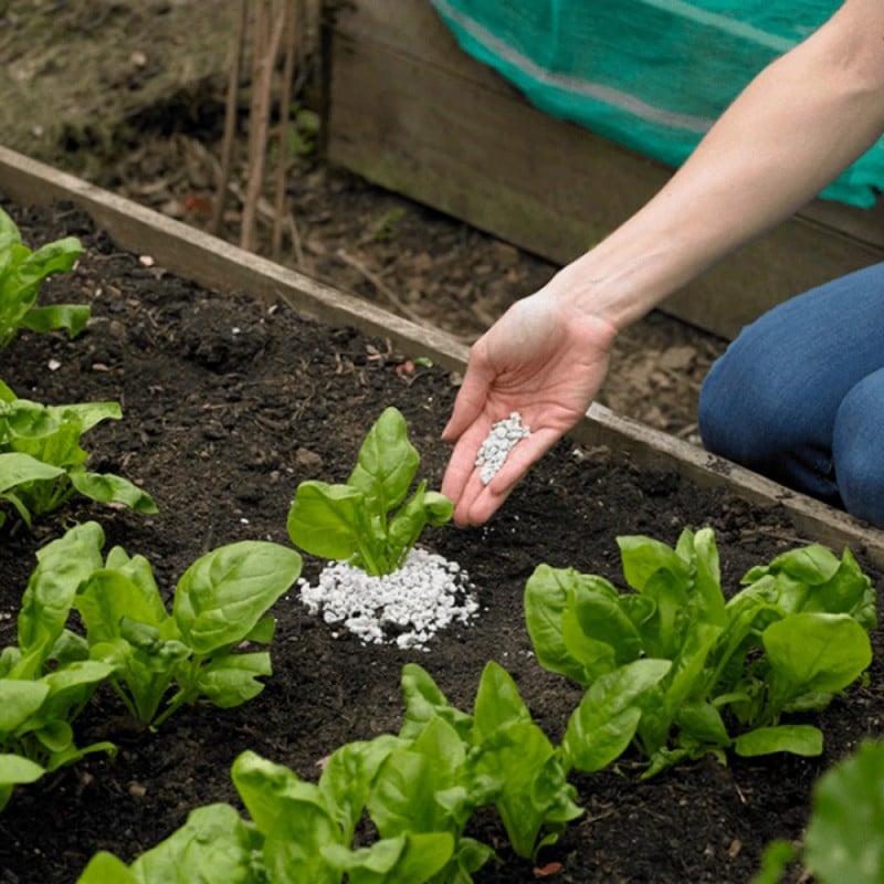 Doff Slugs Be Gone Barrier Slug Snail Protection Granules Grit 1.65kg DP1022 Budget ✨ Doff Slugs Be Gone Barrier Slug Snail Protection Granules Grit 1.65kg DP1022 ⭐ -Everbuild shop unnamed file 713