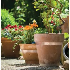 Best Pirce ???? Doff Slugs Be Gone Copper Plant Pot Slug Snail Barrier Tape 4m DP1020 ???? 2 Best Pirce ???? Doff Slugs Be Gone Copper Plant Pot Slug Snail Barrier Tape 4m DP1020 ???? -Everbuild shop unnamed file 724