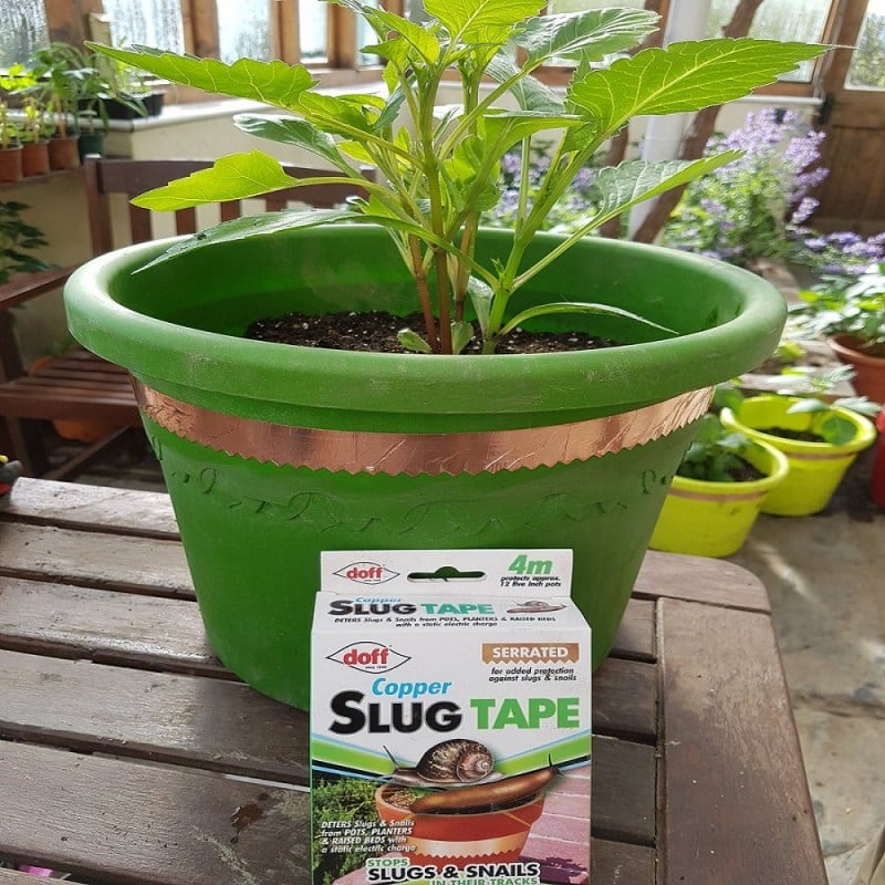 Doff Slugs Be Gone Copper Plant Pot Slug Snail Barrier Tape 4m DP1020 Best Pirce ???? Doff Slugs Be Gone Copper Plant Pot Slug Snail Barrier Tape 4m DP1020 ???? -Everbuild shop unnamed file 725