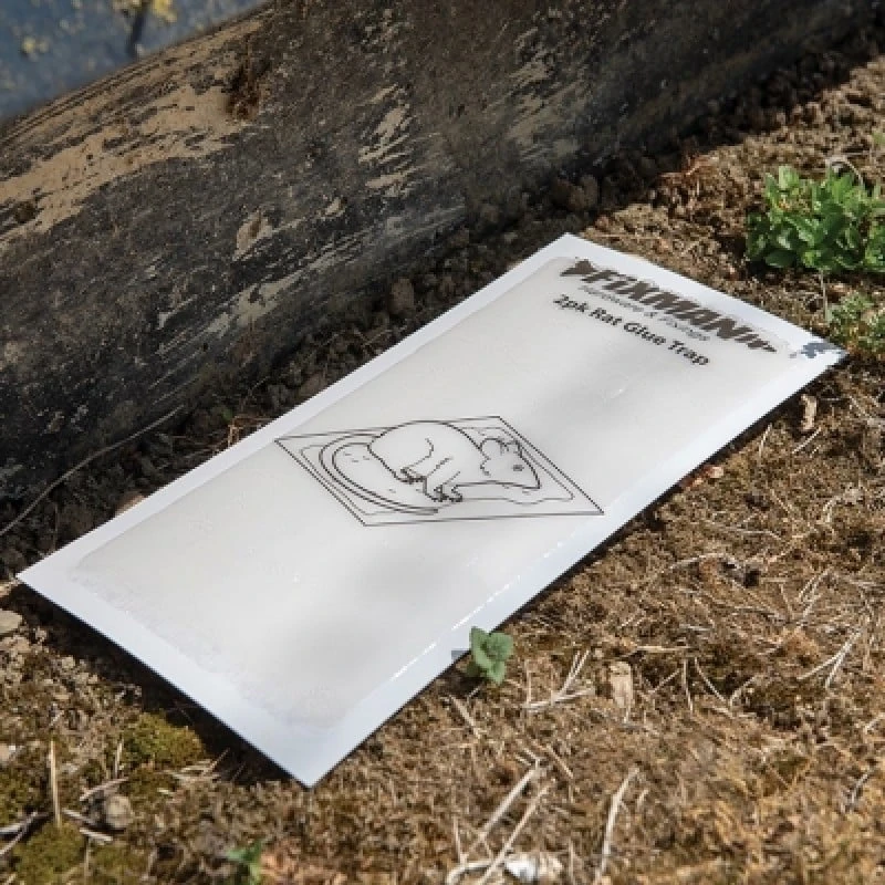 Top 10 โค๏ธ Fixman UK Fixman Glue Rat And Mouse Trap Twin Pack 301759 ๐งจ 2 Top 10 โค๏ธ Fixman UK Fixman Glue Rat And Mouse Trap Twin Pack 301759 ๐งจ - Image 2