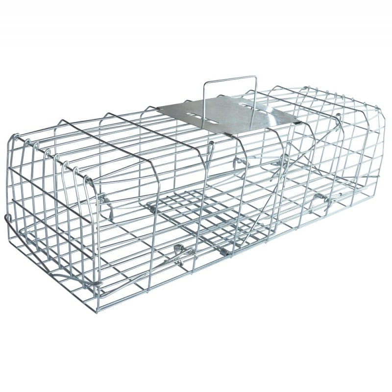 Best reviews of ✨ Pest-Stop Pest Stop Squirrel Cage Trap 24 Inch Humane PSSCAGE ???? 4 Best reviews of ✨ Pest-Stop Pest Stop Squirrel Cage Trap 24 Inch Humane PSSCAGE ???? - Image 4