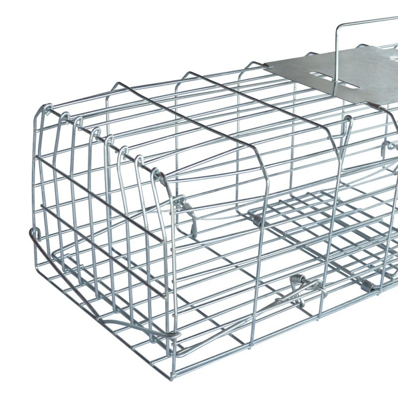 Best reviews of ✨ Pest-Stop Pest Stop Squirrel Cage Trap 24 Inch Humane PSSCAGE ???? 5 Best reviews of ✨ Pest-Stop Pest Stop Squirrel Cage Trap 24 Inch Humane PSSCAGE ???? - Image 5