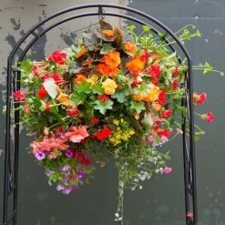 Deals 🌟 Doff Wool And Moss Hanging Flower Basket Liner Water Retainer DP1026 😀 -Everbuild shop unnamed file 809