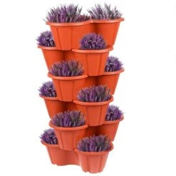 Best deal 🔥 Sealants And Tools Direct Strawberry And Flower Stackable Planter Plant Pots Black THW87-B 🌟 -Everbuild shop unnamed file 912