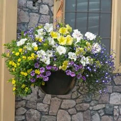 Outlet ✔️ Doff Lightweight Container & Basket Plant Compost 15L FWJO00DOF 🎉 -Everbuild shop unnamed file 924